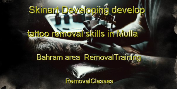 Skinart Developing develop tattoo removal skills in Mulla Bahram area | RemovalTraining | RemovalClasses | SkinartTraining-India