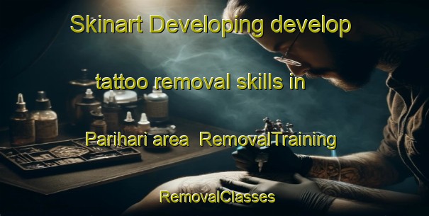 Skinart Developing develop tattoo removal skills in Parihari area | RemovalTraining | RemovalClasses | SkinartTraining-India