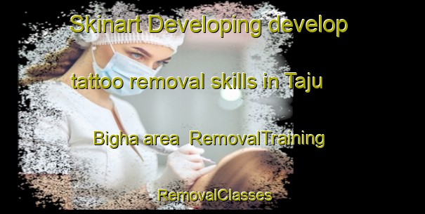 Skinart Developing develop tattoo removal skills in Taju Bigha area | RemovalTraining | RemovalClasses | SkinartTraining-India