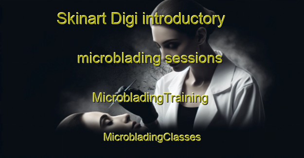 Skinart Digi introductory microblading sessions | #MicrobladingTraining #MicrobladingClasses #SkinartTraining-India