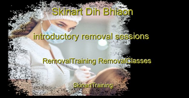 Skinart Dih Bhiaon introductory removal sessions | #RemovalTraining #RemovalClasses #SkinartTraining-India