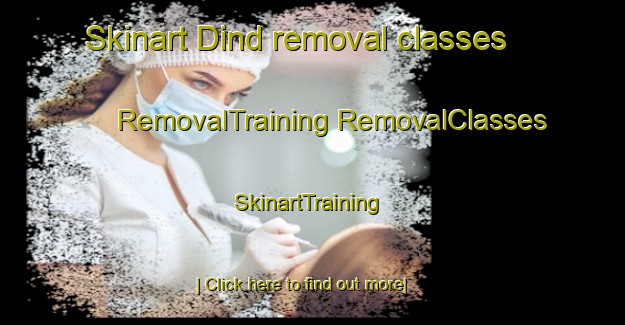 Skinart Dind removal classes | #RemovalTraining #RemovalClasses #SkinartTraining-India