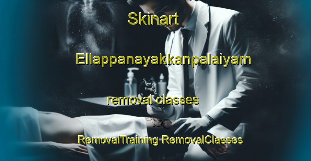 Skinart Ellappanayakkanpalaiyam removal classes | #RemovalTraining #RemovalClasses #SkinartTraining-India