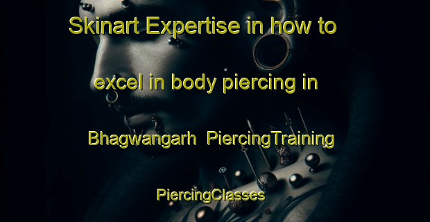 Skinart Expertise in how to excel in body piercing in Bhagwangarh | PiercingTraining | PiercingClasses | SkinartTraining-India