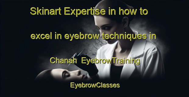 Skinart Expertise in how to excel in eyebrow techniques in Chanah | EyebrowTraining | EyebrowClasses | SkinartTraining-India