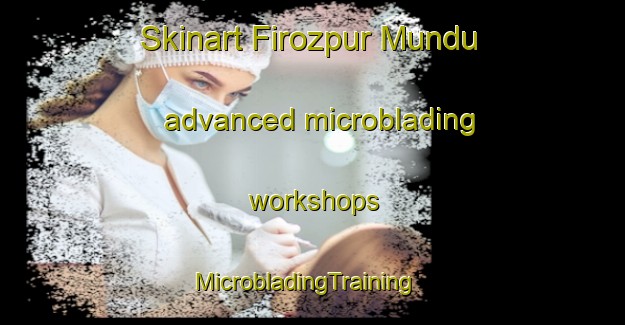 Skinart Firozpur Mundu advanced microblading workshops | MicrobladingTraining | MicrobladingClasses | SkinartTraining-India