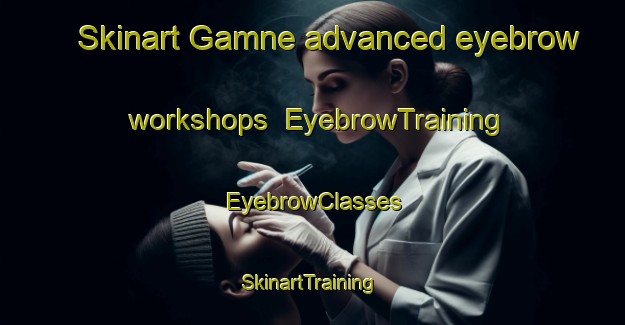 Skinart Gamne advanced eyebrow workshops | EyebrowTraining | EyebrowClasses | SkinartTraining-India