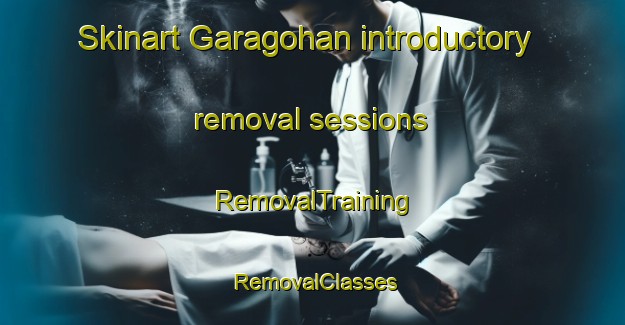 Skinart Garagohan introductory removal sessions | RemovalTraining | RemovalClasses | SkinartTraining-India