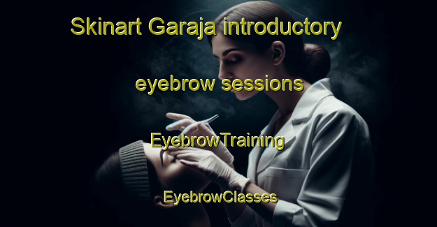 Skinart Garaja introductory eyebrow sessions | EyebrowTraining | EyebrowClasses | SkinartTraining-India