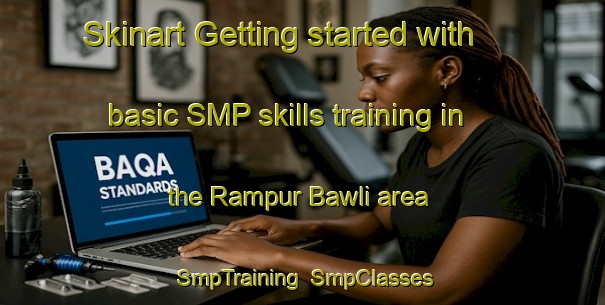 Skinart Getting started with basic SMP skills training in the Rampur Bawli area | SmpTraining | SmpClasses | SkinartTraining-India