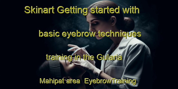 Skinart Getting started with basic eyebrow techniques training in the Gularia Mahipat area | EyebrowTraining | EyebrowClasses | SkinartTraining-India