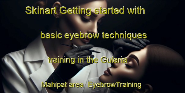 Skinart Getting started with basic eyebrow techniques training in the Gularia Mahipat area | EyebrowTraining | EyebrowClasses | SkinartTraining-India