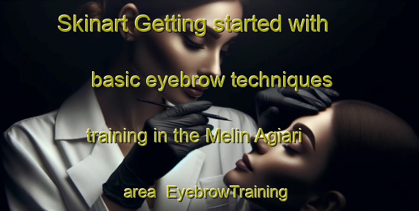 Skinart Getting started with basic eyebrow techniques training in the Melin Agiari area | EyebrowTraining | EyebrowClasses | SkinartTraining-India
