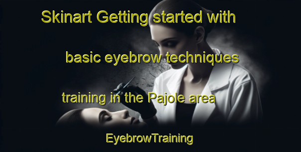 Skinart Getting started with basic eyebrow techniques training in the Pajole area | EyebrowTraining | EyebrowClasses | SkinartTraining-India