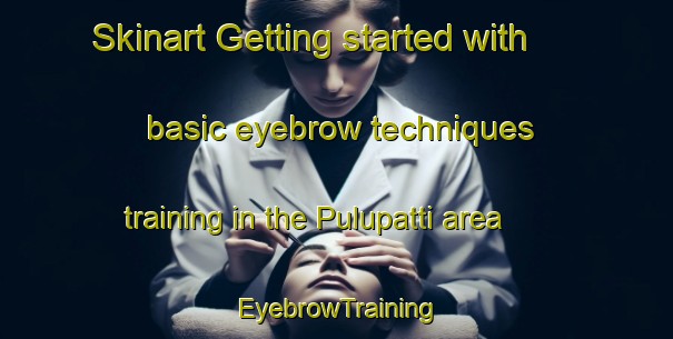 Skinart Getting started with basic eyebrow techniques training in the Pulupatti area | EyebrowTraining | EyebrowClasses | SkinartTraining-India
