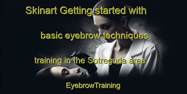 Skinart Getting started with basic eyebrow techniques training in the Sotreguda area | EyebrowTraining | EyebrowClasses | SkinartTraining-India