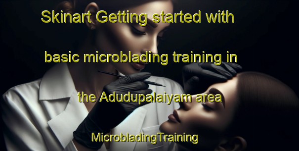 Skinart Getting started with basic microblading training in the Adudupalaiyam area | MicrobladingTraining | MicrobladingClasses | SkinartTraining-India