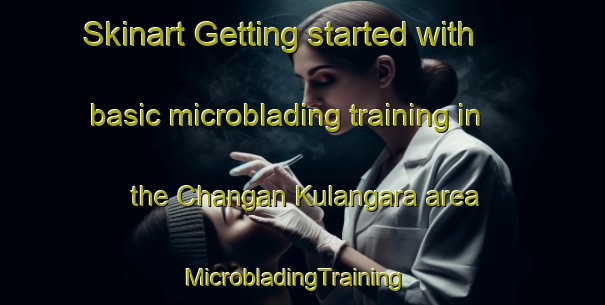 Skinart Getting started with basic microblading training in the Changan Kulangara area | MicrobladingTraining | MicrobladingClasses | SkinartTraining-India