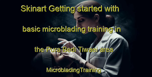 Skinart Getting started with basic microblading training in the Pura Bedi Tiwaei area | MicrobladingTraining | MicrobladingClasses | SkinartTraining-India