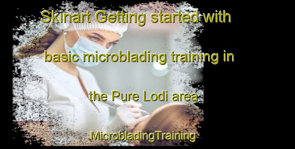 Skinart Getting started with basic microblading training in the Pure Lodi area | MicrobladingTraining | MicrobladingClasses | SkinartTraining-India
