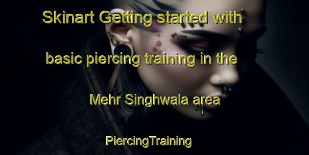 Skinart Getting started with basic piercing training in the Mehr Singhwala area | PiercingTraining | PiercingClasses | SkinartTraining-India