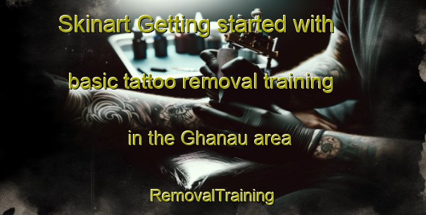 Skinart Getting started with basic tattoo removal training in the Ghanau area | RemovalTraining | RemovalClasses | SkinartTraining-India