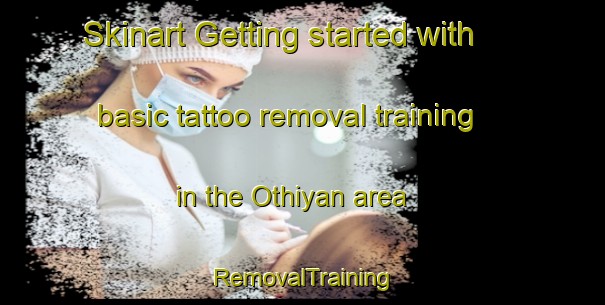 Skinart Getting started with basic tattoo removal training in the Othiyan area | RemovalTraining | RemovalClasses | SkinartTraining-India