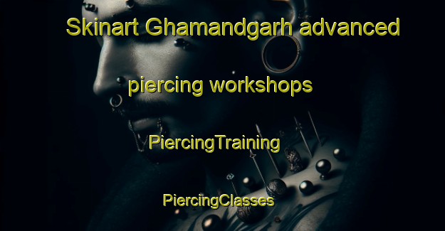 Skinart Ghamandgarh advanced piercing workshops | PiercingTraining | PiercingClasses | SkinartTraining-India