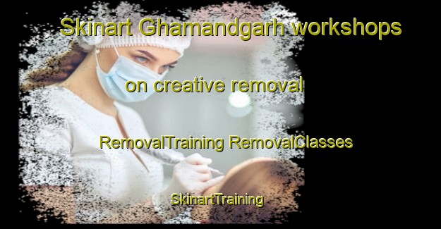 Skinart Ghamandgarh workshops on creative removal | #RemovalTraining #RemovalClasses #SkinartTraining-India