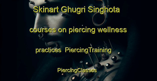 Skinart Ghugri Singhota courses on piercing wellness practices | PiercingTraining | PiercingClasses | SkinartTraining-India