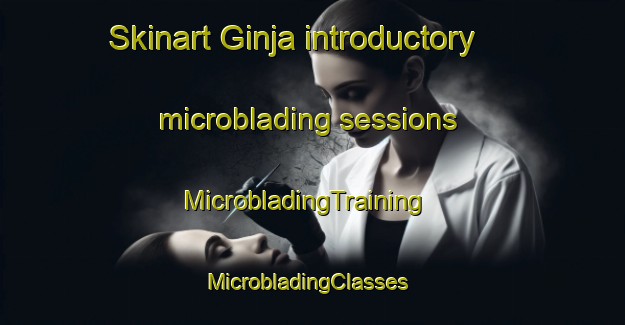 Skinart Ginja introductory microblading sessions | MicrobladingTraining | MicrobladingClasses | SkinartTraining-India