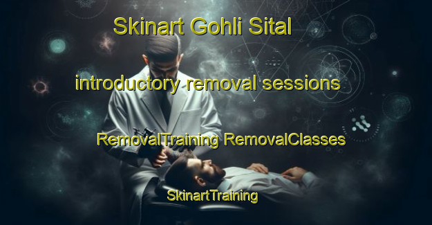 Skinart Gohli Sital introductory removal sessions | #RemovalTraining #RemovalClasses #SkinartTraining-India