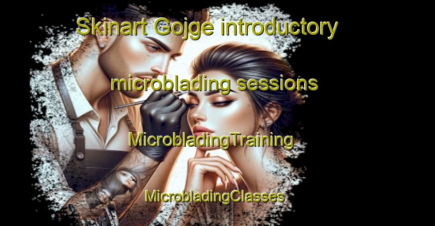Skinart Gojge introductory microblading sessions | MicrobladingTraining | MicrobladingClasses | SkinartTraining-India