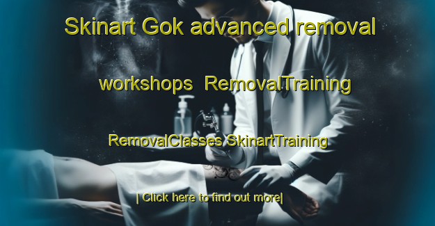 Skinart Gok advanced removal workshops | #RemovalTraining #RemovalClasses #SkinartTraining-India