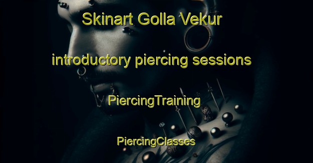 Skinart Golla Vekur introductory piercing sessions | #PiercingTraining #PiercingClasses #SkinartTraining-India