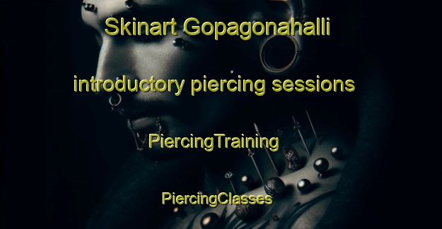Skinart Gopagonahalli introductory piercing sessions | PiercingTraining | PiercingClasses | SkinartTraining-India