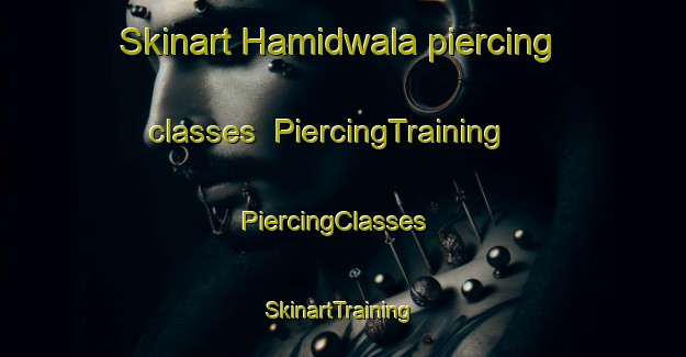 Skinart Hamidwala piercing classes | PiercingTraining | PiercingClasses | SkinartTraining-India