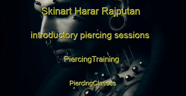 Skinart Harar Rajputan introductory piercing sessions | #PiercingTraining #PiercingClasses #SkinartTraining-India