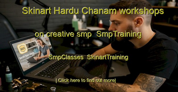 Skinart Hardu Chanam workshops on creative smp | SmpTraining | SmpClasses | SkinartTraining-India