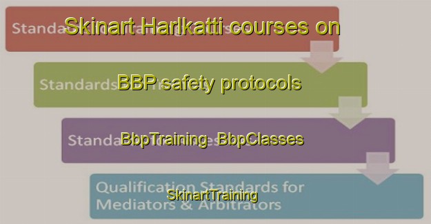 Skinart Harlkatti courses on BBP safety protocols | BbpTraining | BbpClasses | SkinartTraining-India