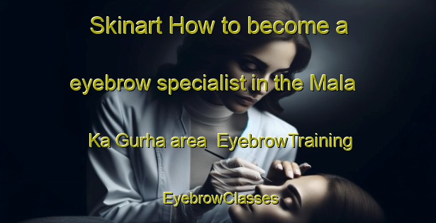 Skinart How to become a eyebrow specialist in the Mala Ka Gurha area | EyebrowTraining | EyebrowClasses | SkinartTraining-India