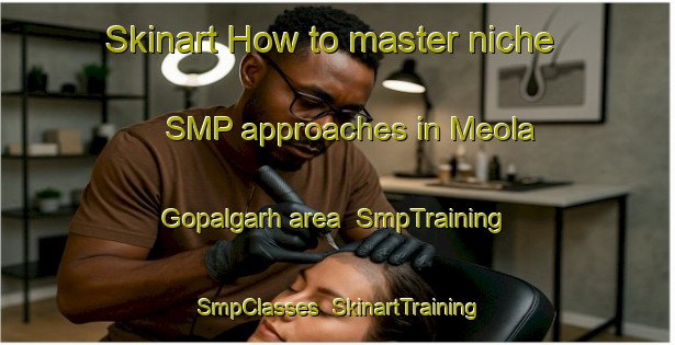 Skinart How to master niche SMP approaches in Meola Gopalgarh area | SmpTraining | SmpClasses | SkinartTraining-India