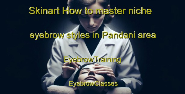 Skinart How to master niche eyebrow styles in Pandani area | EyebrowTraining | EyebrowClasses | SkinartTraining-India