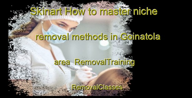 Skinart How to master niche removal methods in Goinatola area | RemovalTraining | RemovalClasses | SkinartTraining-India