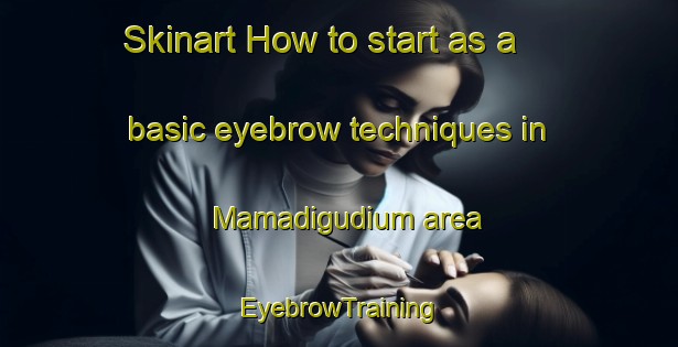 Skinart How to start as a basic eyebrow techniques in Mamadigudium area | EyebrowTraining | EyebrowClasses | SkinartTraining-India