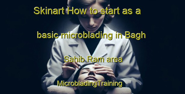 Skinart How to start as a basic microblading in Bagh Sahib Ram area | MicrobladingTraining | MicrobladingClasses | SkinartTraining-India