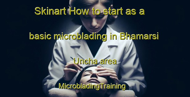 Skinart How to start as a basic microblading in Bhamarsi Uncha area | MicrobladingTraining | MicrobladingClasses | SkinartTraining-India