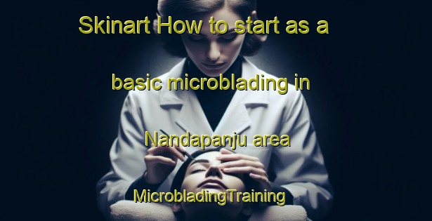 Skinart How to start as a basic microblading in Nandapanju area | MicrobladingTraining | MicrobladingClasses | SkinartTraining-India