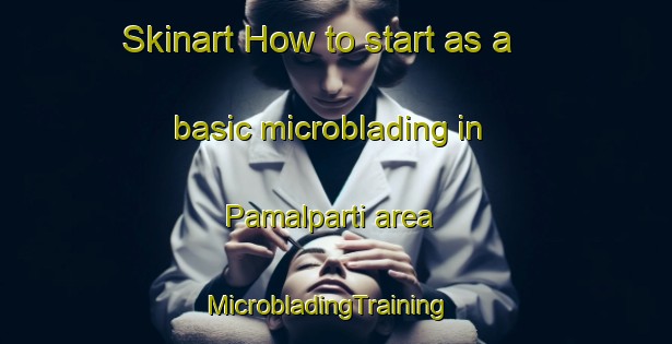 Skinart How to start as a basic microblading in Pamalparti area | MicrobladingTraining | MicrobladingClasses | SkinartTraining-India