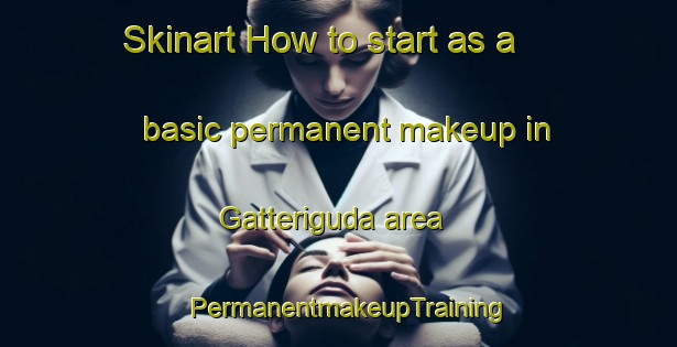 Skinart How to start as a basic permanent makeup in Gatteriguda area | PermanentmakeupTraining | PermanentmakeupClasses | SkinartTraining-India